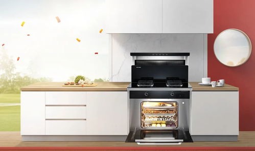 森歌集成灶61开门红 第一又见第一,以及高速增长的背后