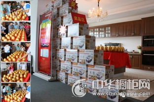 德西曼集成灶厂购会圆满举办 签单率高达92