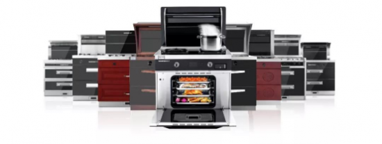 集成灶10大品牌 帅丰用蒸箱打动你