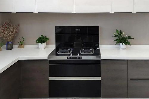 集成灶 重新定义厨房烹饪体验.