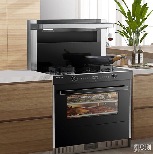 10大集成灶品牌有哪些 哪些集成灶品牌入围