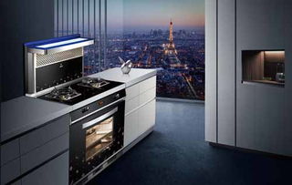 新房装修季 智能化厨电走俏 集成灶10大品牌首选欧琳