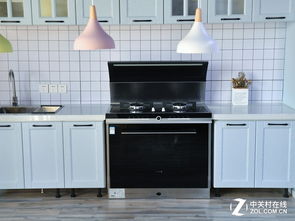 火星人集成灶x7到货 新厨房全套凑齐