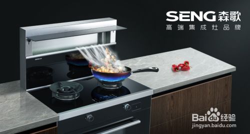 帅丰集成灶怎么样 排名前十的集成灶哪个好