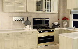 越来越多家庭不装油烟机了,如今流行这种多功能灶,省钱又环保