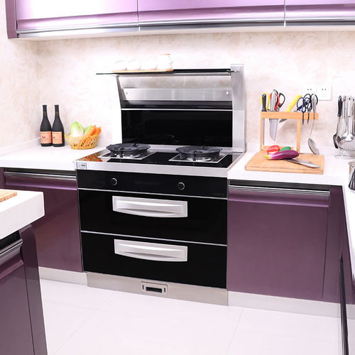 2018集成灶品牌产品图片大全 集成灶厨房装修效果图 十大品牌网