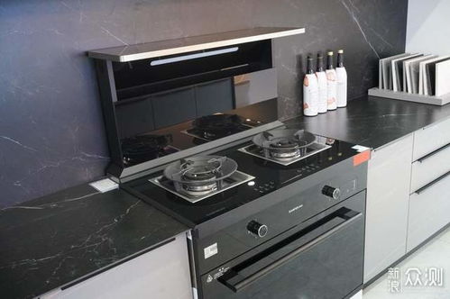 全能多面手,帅丰t1 7b蒸烤一体集成灶探店