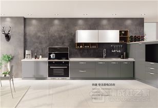 剑指集成灶市场 帅康快吸集成灶开启行业新格局