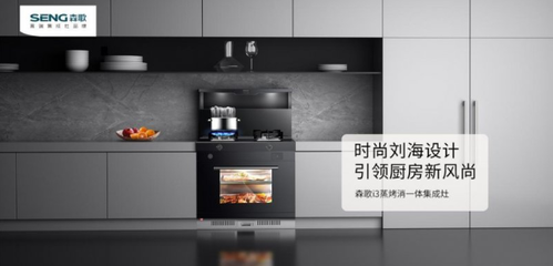 森歌集成灶排名第几?集成灶行业头部品牌,加盟商重点关注!