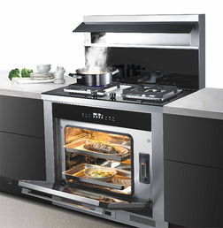 一个好的集成灶应该具备哪些 大吸力 易清洗......