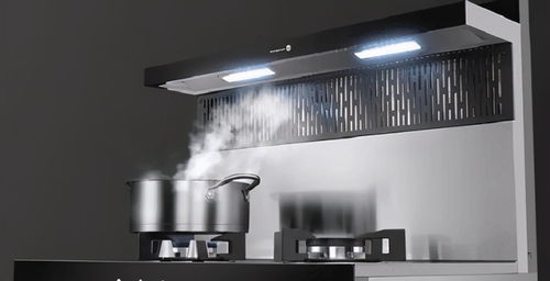 集成灶大讲堂 蒸烤一体集成灶怎么选 让大师级的火星人告诉你