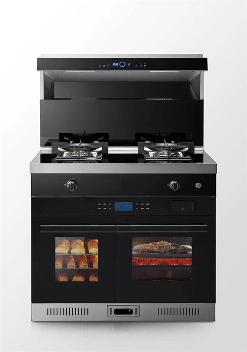 别再纠结了 2023年集成灶十大品牌年终盘点,看看哪款最适合您