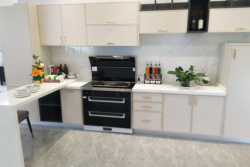 升级厨房四样高级货，净水机让生活更健康便捷